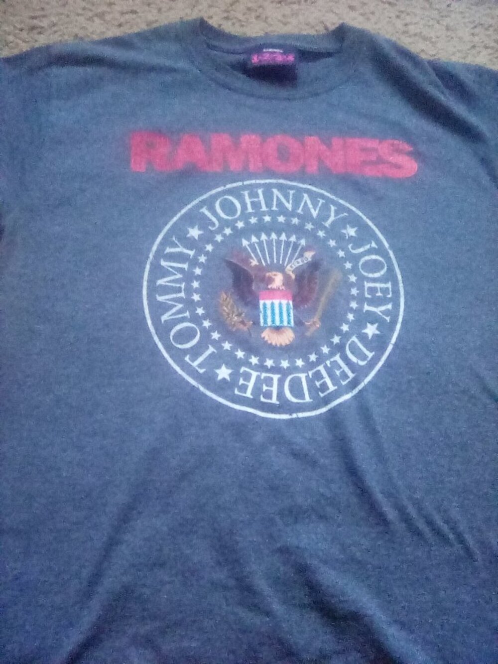 Ramones Boys Graphic Tee